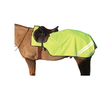 HyVIZ Reflector Exercise Sheet yellow
