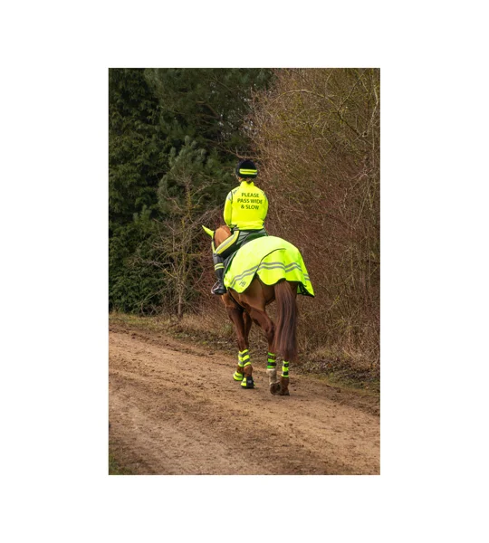 HyVIZ Reflector Exercise Sheet yellow
