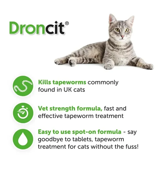 Droncit Spot-On 4 x tubes