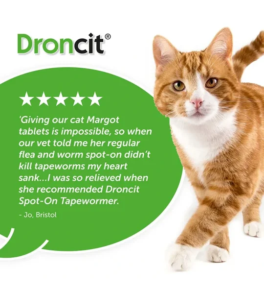 Droncit Spot-On 4 x tubes