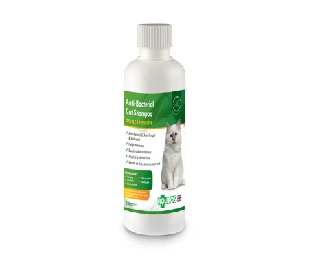 Aqueos Anti-Bacterial Cat Shampoo