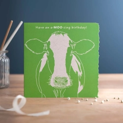Deckled Edge Colour Block 150 x 150mm  Happy Birthday - A-moo-zing Birthday