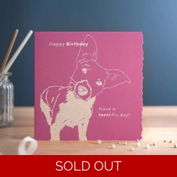 Deckled Edge Colour Block 150 x 150mm  Happy Birthday - Terri-fic Day