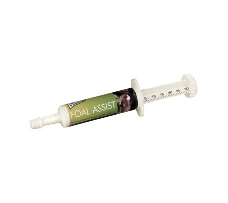 Baileys Foal Assist Syringe - 30cc