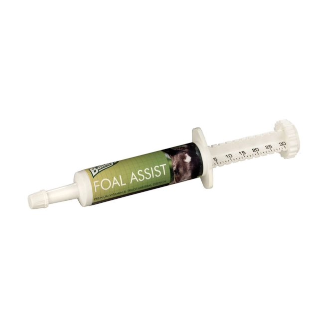 product Image for Baileys Foal Assist Syringe - 30cc