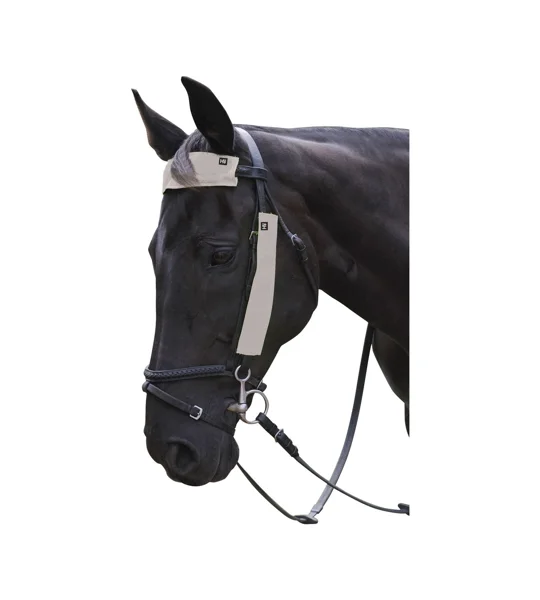 Silva Flash Reflective Bridle Set by Hy Equestrian - Reflective Silver - 3 Pieces