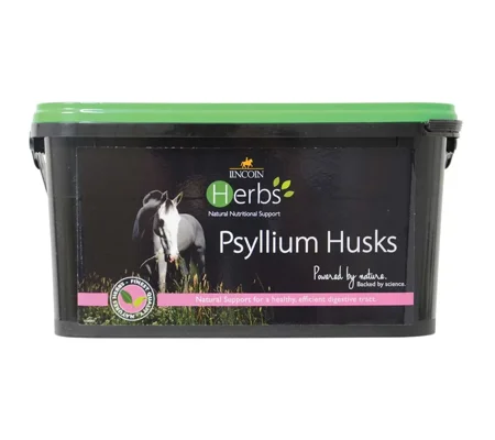 Lincoln Herbs Psyllium Husks 1.5kg