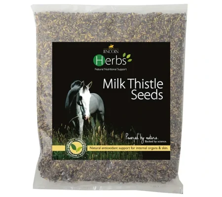 Lincoln Herbs Milk Thistle Seeds 1kg - 50 Days Supply -