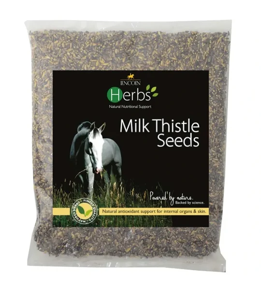 Lincoln Herbs Milk Thistle Seeds 1kg - 50 Days Supply -