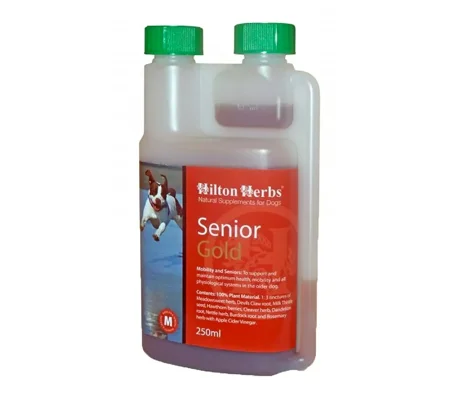 Hilton Herbs Senior Dog Gold 500ml