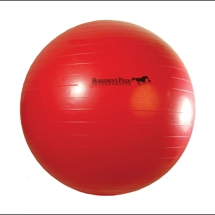 Horsemen's Pride Jolly ..