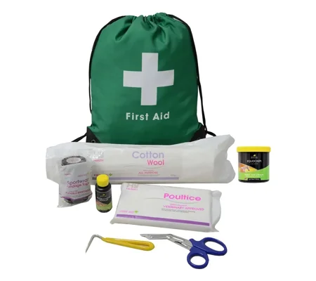 Lincoln First Aid Travel Bag