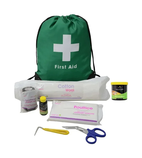 Lincoln First Aid Travel Bag