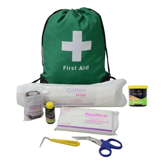product Image for Lincoln First Aid Travel Bag