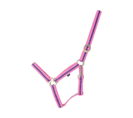 Hy Equestrian Duo Head Collar - Pink/Purple