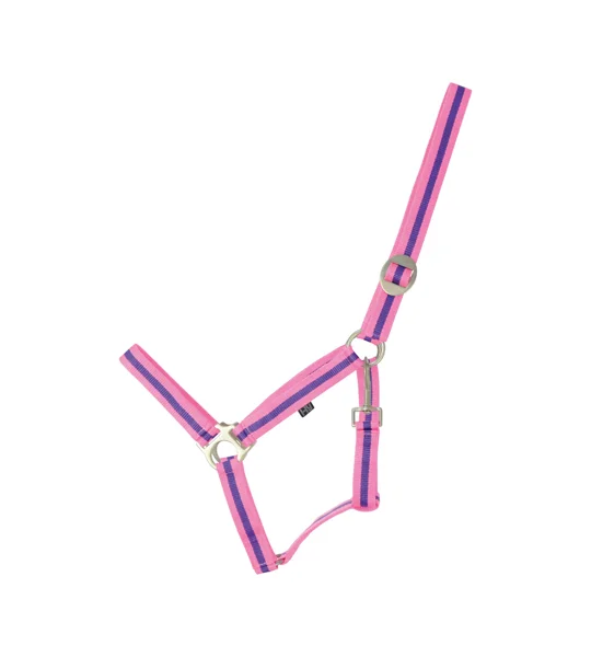 Hy Equestrian Duo Head Collar - Pink/Purple