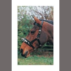 Hy Equestrian Lunge Cavesson - Black