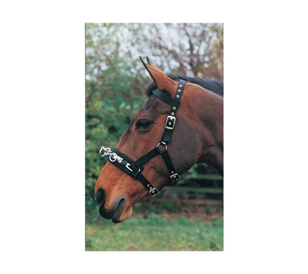 Hy Equestrian Lunge Cavesson - Black
