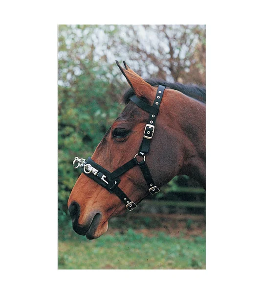 Hy Equestrian Lunge Cavesson - Black