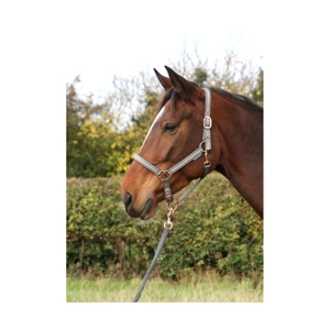 Hy Equestrian Rose Glitter Head Collar & Lead Rope Set - Grey