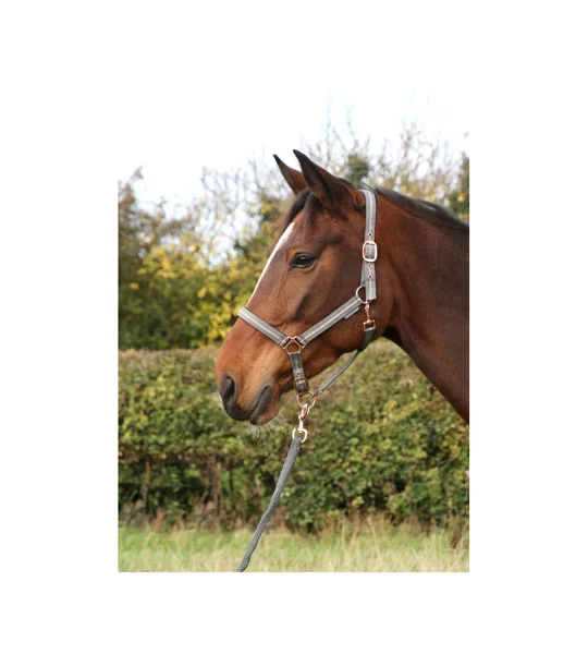 Hy Equestrian Rose Glitter Head Collar & Lead Rope Set - Grey