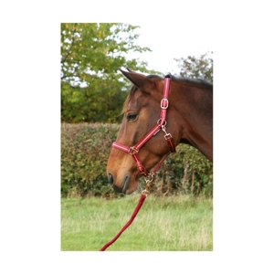 Hy Equestrian Rose Glitter Head Collar & Lead Rope Set - Burgundy
