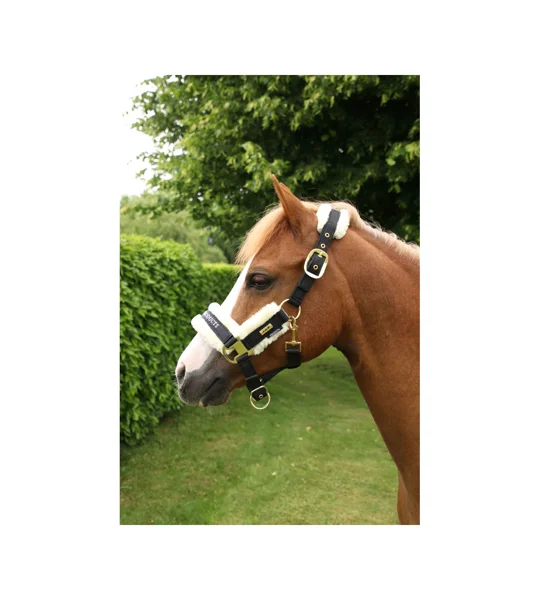 Supreme Products Royal Occasion Head Collar - Black