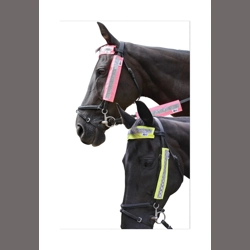 HyVIZ Bridle Set by Hy Equestrian - Pink - 3 pieces