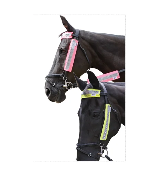 HyVIZ Bridle Set by Hy Equestrian - Pink - 3 pieces