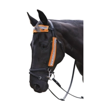 HyVIZ Bridle Set by Hy ..
