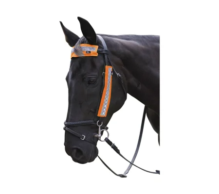 HyVIZ Bridle Set by Hy Equestrian - Orange - 3 pieces
