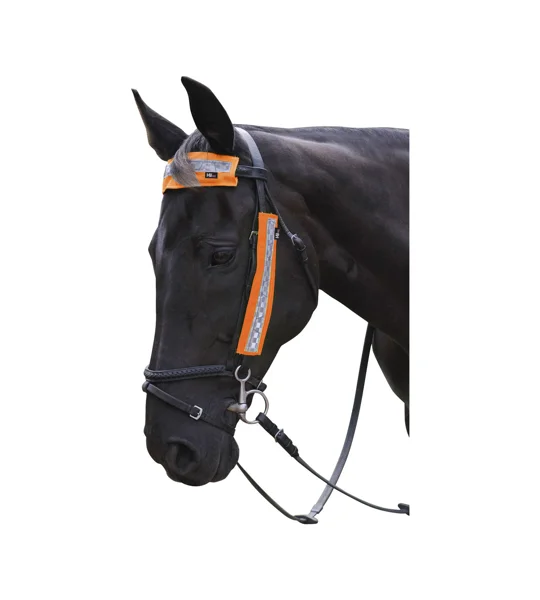 HyVIZ Bridle Set by Hy Equestrian - Orange - 3 pieces