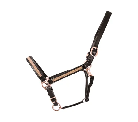 Hy Equestrian Rosciano Rose Gold Leather Head Collar - Brown/Rose Gold