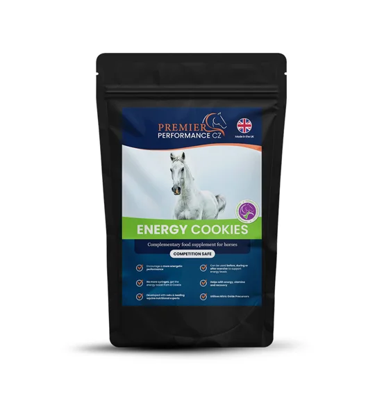 Premier Performance Energy Cookies
