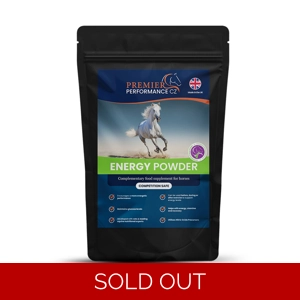 Premier Performance Energy Powder 15 servings