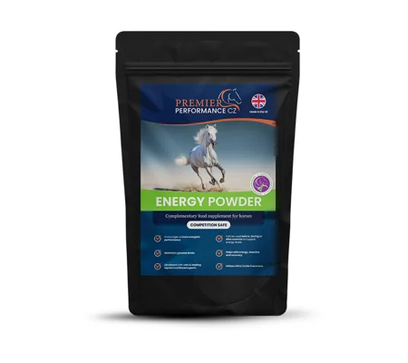 Premier Performance Energy Powder 15 servings