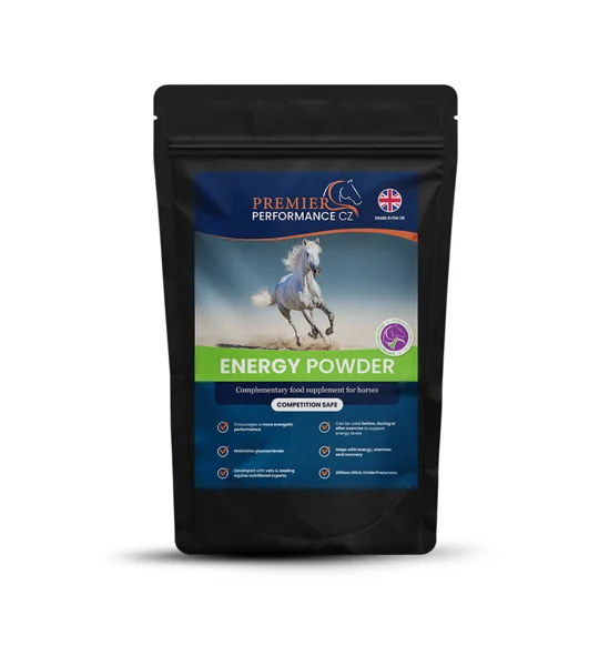 Premier Performance Energy Powder 15 servings