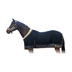 Supreme Products Royal Occasion Rug - Black