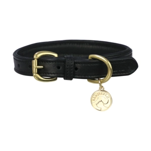 Benji & Flo Deluxe Padded Leather Dog Collar - Black/Brass