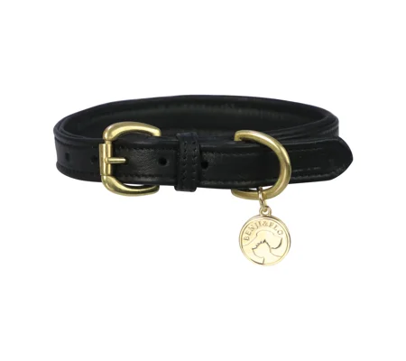 Benji & Flo Deluxe Padded Leather Dog Collar - Black/Brass