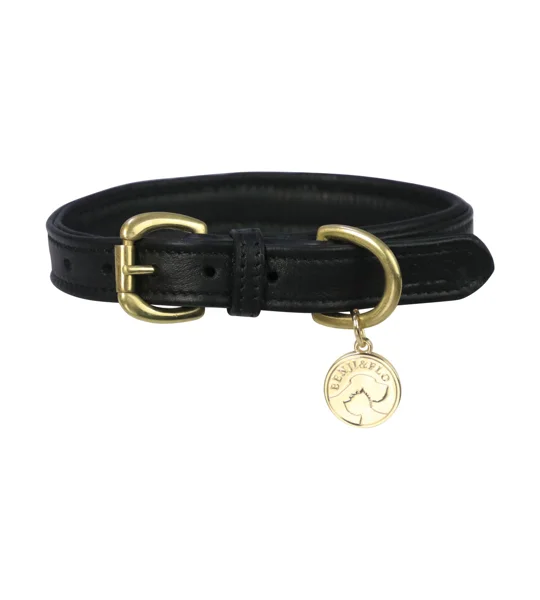 Benji & Flo Deluxe Padded Leather Dog Collar - Black/Brass