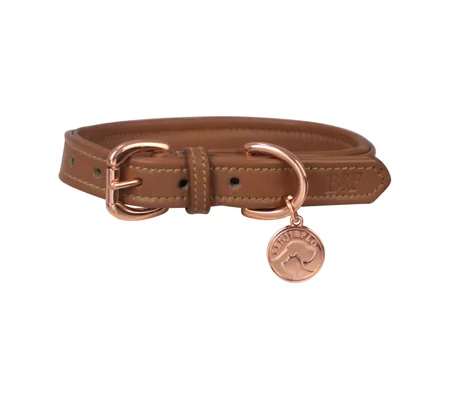 Benji & Flo Deluxe Padded Leather Dog Collar - Tan/Rose Gold