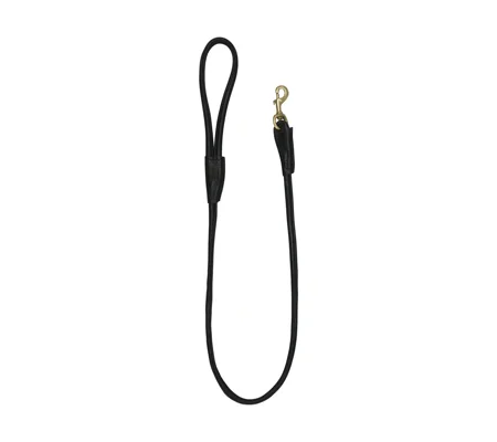Benji & Flo Superior Rolled Leather Dog Lead - Black/Brass - 120cm