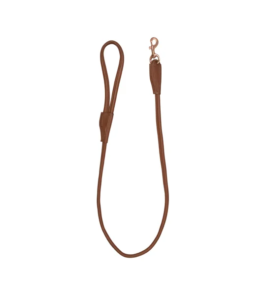 Benji & Flo Superior Rolled Leather Dog Lead - Tan/Rose Gold - 120cm