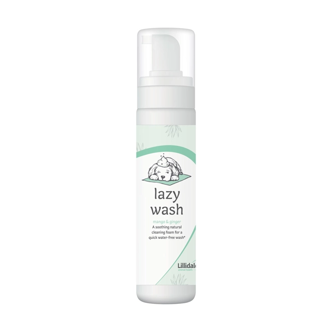 product Image for Lillidale Lazy Wash - 200ml