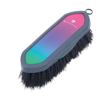 Hy Equestrian Ombre Dandy Brush - Vibrant Ombre