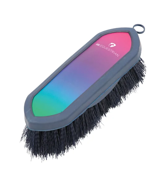 Hy Equestrian Ombre Dandy Brush - Vibrant Ombre
