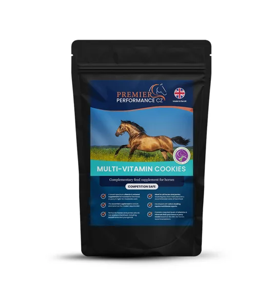 Premier Performance Multi Vitamin Cookies - Pack of 10