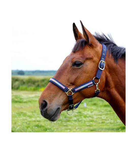 Hy Equestrian Mystic Head Collar - Navy/Rainbow Dust