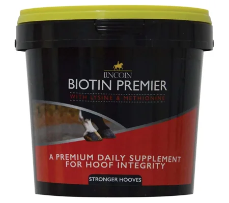 Lincoln Biotin Premier - 600g